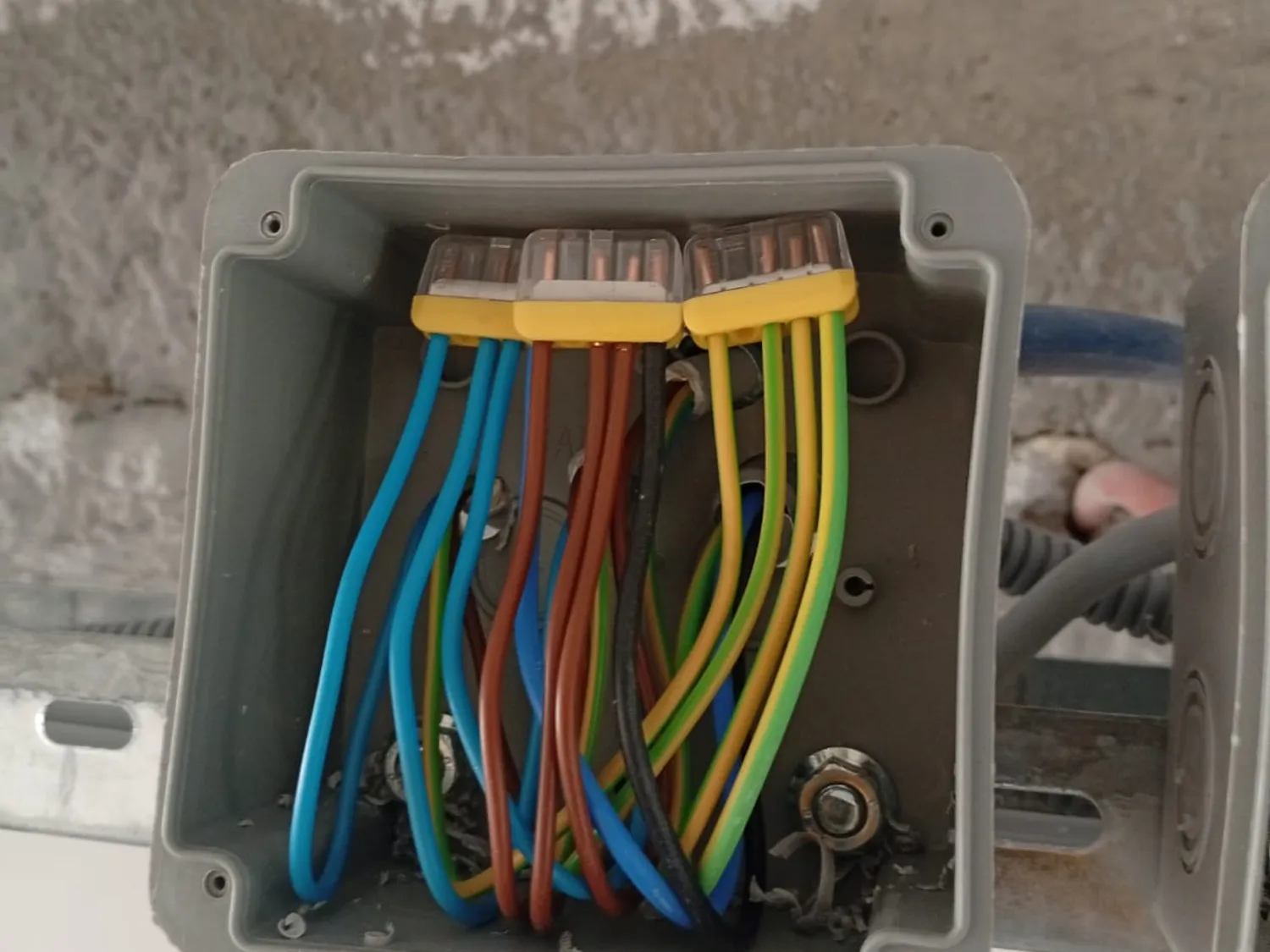 Taahhüt İşlemleri